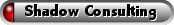 Shadow Consulting in Finance